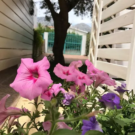 The Mia's House بيت للعطل أروسييْ